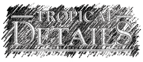 Tropical Details